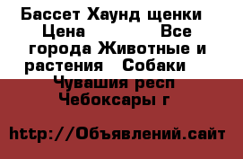 Бассет Хаунд щенки › Цена ­ 20 000 - Все города Животные и растения » Собаки   . Чувашия респ.,Чебоксары г.